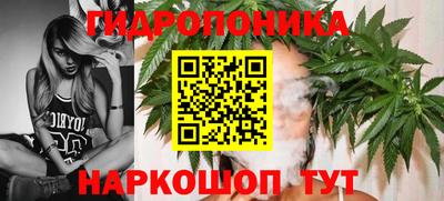 винт Гатчина