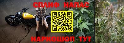 винт Гатчина