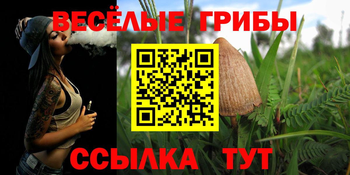 Галлюциногенные грибы ЛСД  Вход с VPN  Псков  Галлюциногенные грибы Cubensis 