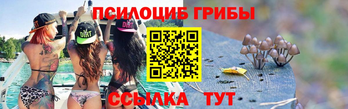 Галлюциногенные грибы MAGIC MUSHROOMS Псков